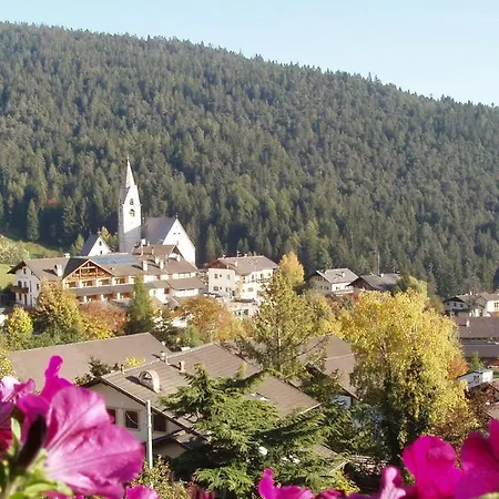 Lingerhof Arnika *